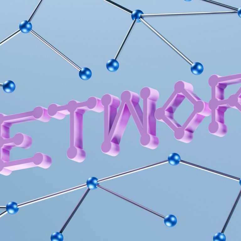 Bold Leadership Path logo on subscribe page” Text "NETWORK" formed with pink strands and blue nodes on a light background.